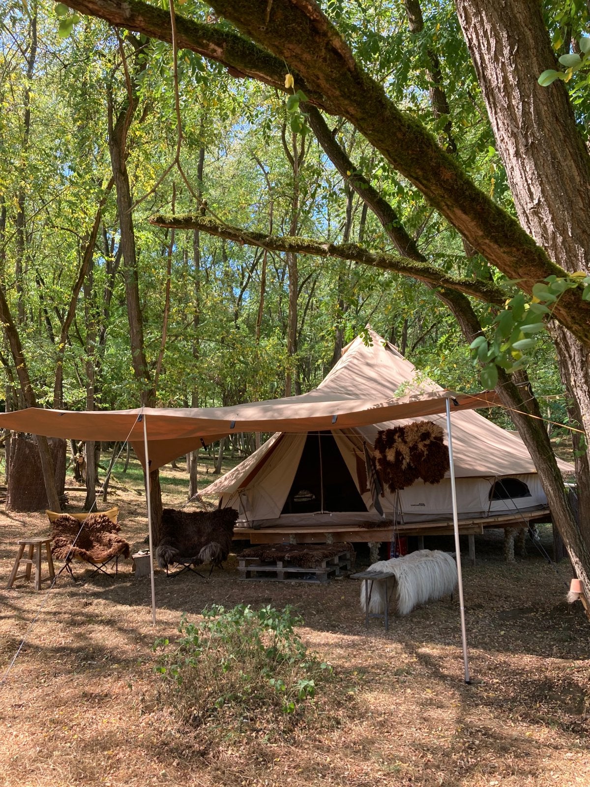 Sibley apex 600DD, Caravanes & Camping, Tentes, Enlèvement, Comme neuf