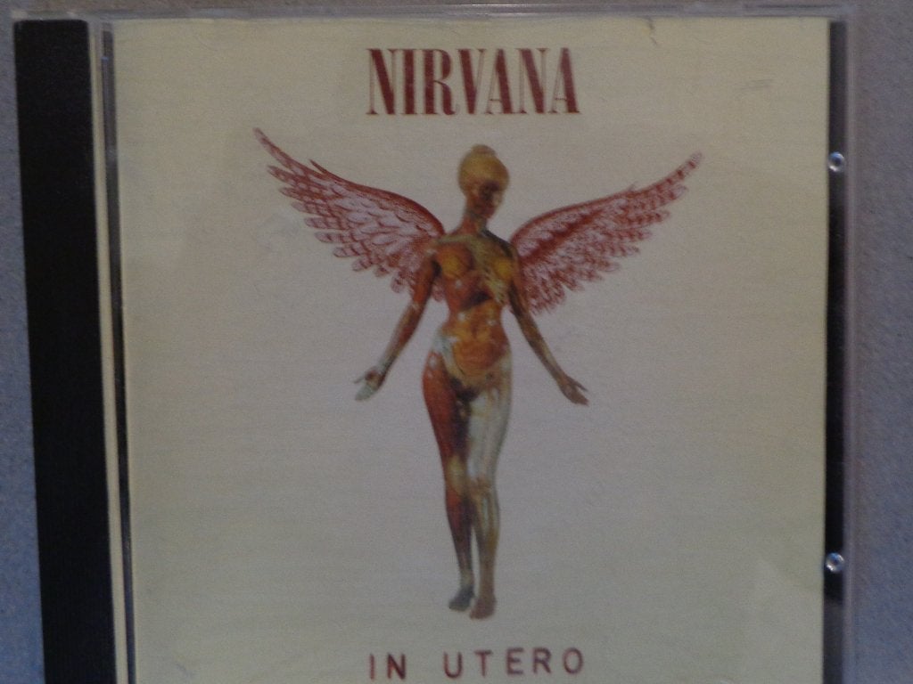 Nirvana, Cd's en Dvd's, Ophalen of Verzenden, Zo goed als nieuw, Alternative