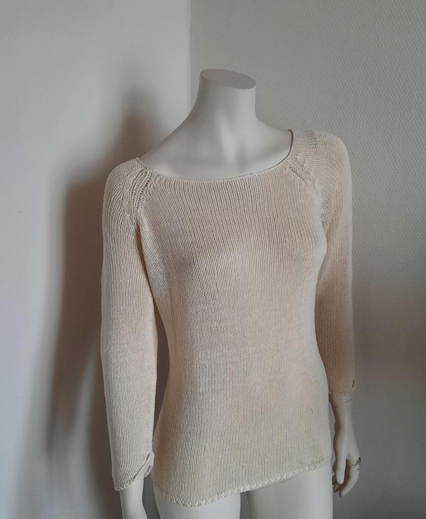 Truitje "L", Kleding | Dames, Blouses en Tunieken, Ophalen of Verzenden