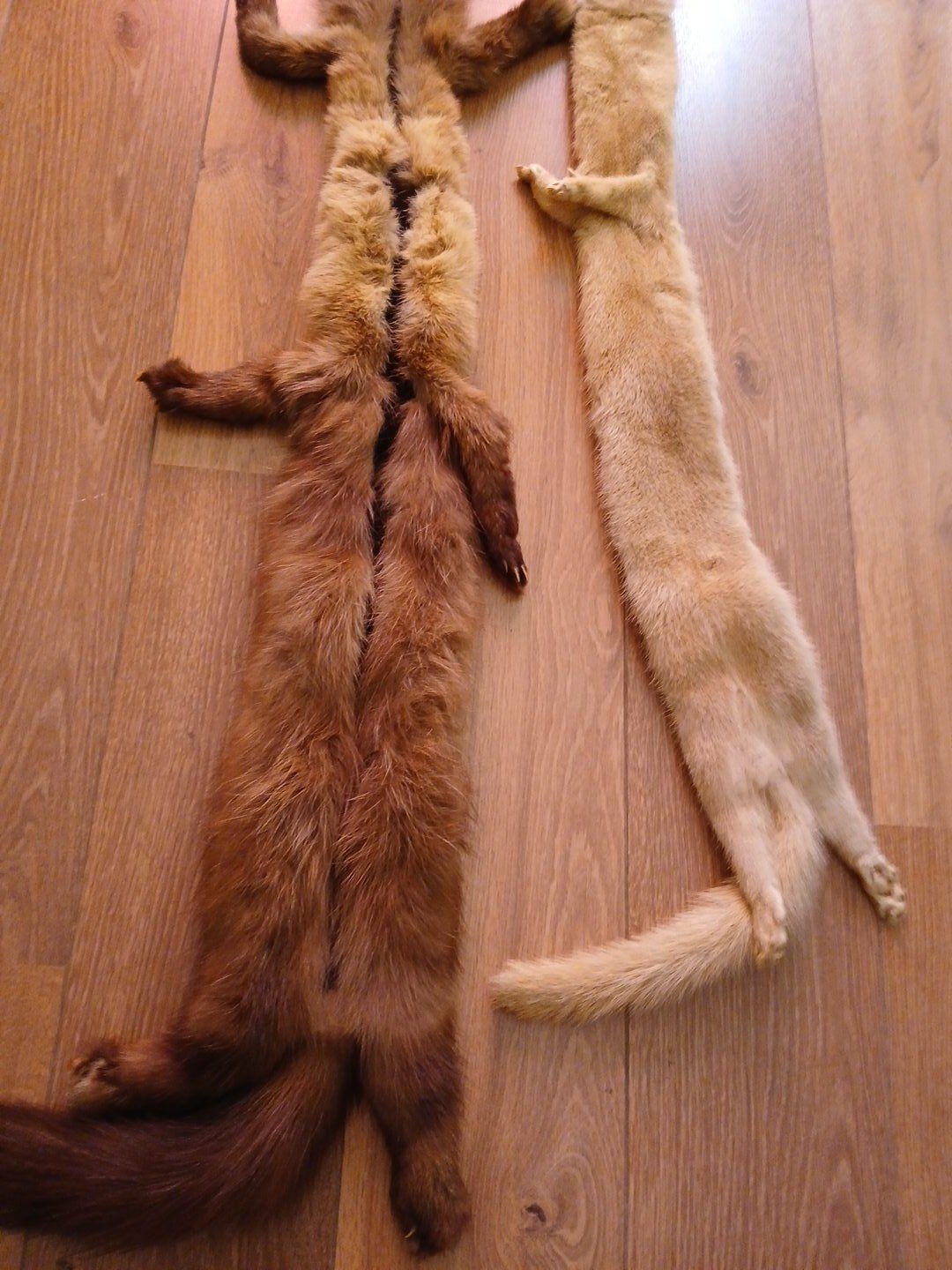 Lot 2 vintage nertsenbontstukken – 2 + 3 nertsen, Ophalen, Zo goed als nieuw, Wild dier, Opgezet dier