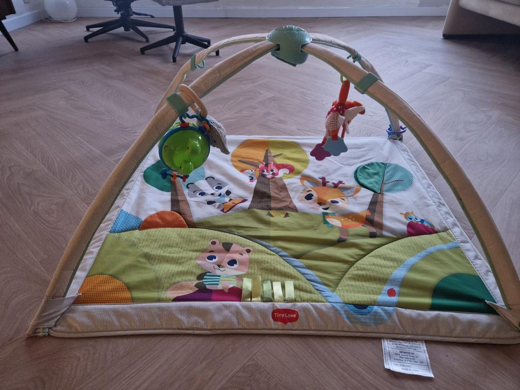 Tiny Love Speelmat, Kinderen en Baby's, Ophalen, Gebruikt