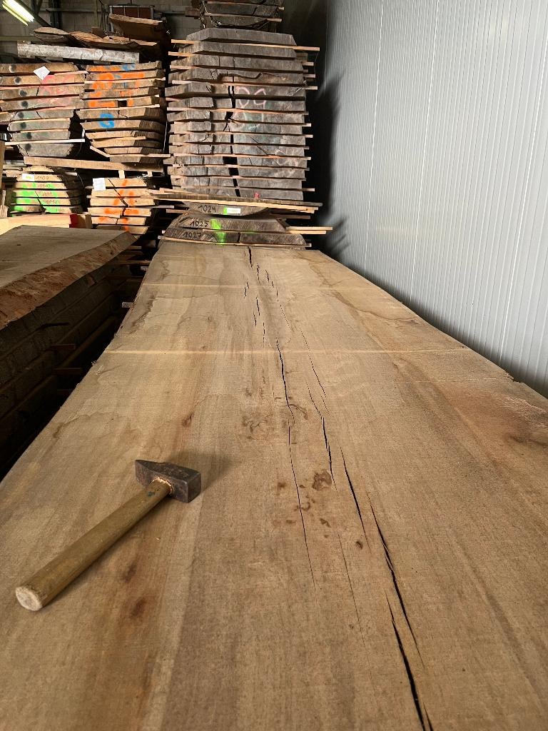 unieke Rode beuken boomstambladen uit plantentuin van Meise, Doe-het-zelf en Bouw, Ophalen, Nieuw, Plank, Beuken