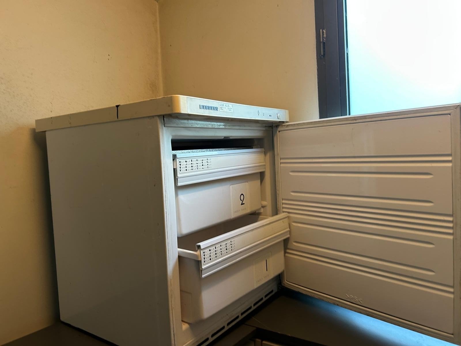 diepvries met lades, Elektronische apparatuur, Ophalen, Gebruikt, Vrijstaand