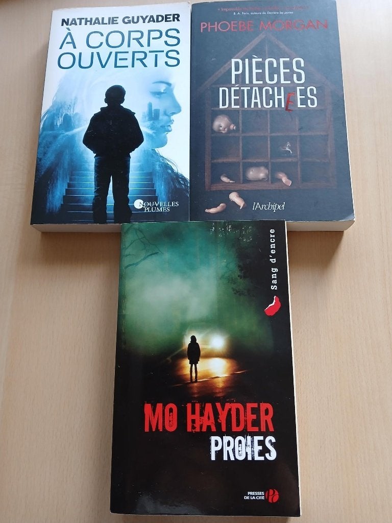 diver lot de livres policier thriller, Livres, Enlèvement, Utilisé, Europe autre