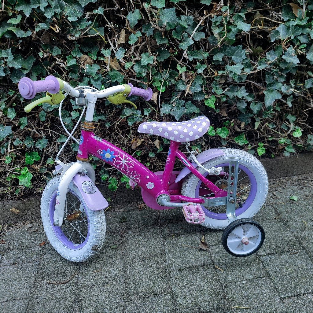 Meisjes Fiets, Fietsen en Brommers, Ophalen, Gebruikt, Terugtraprem, 14 inch of minder