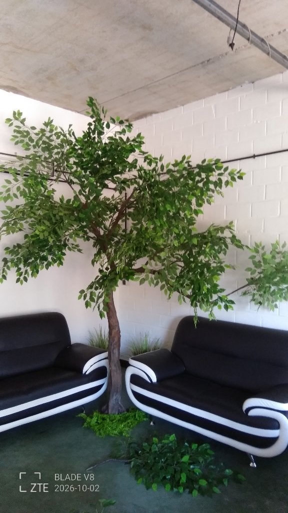 2x Luxe Kunst Ficus Benjamina Bomen (280cm)demonteerbaar, Ophalen, Binnen, Kunstplant, Zo goed als nieuw