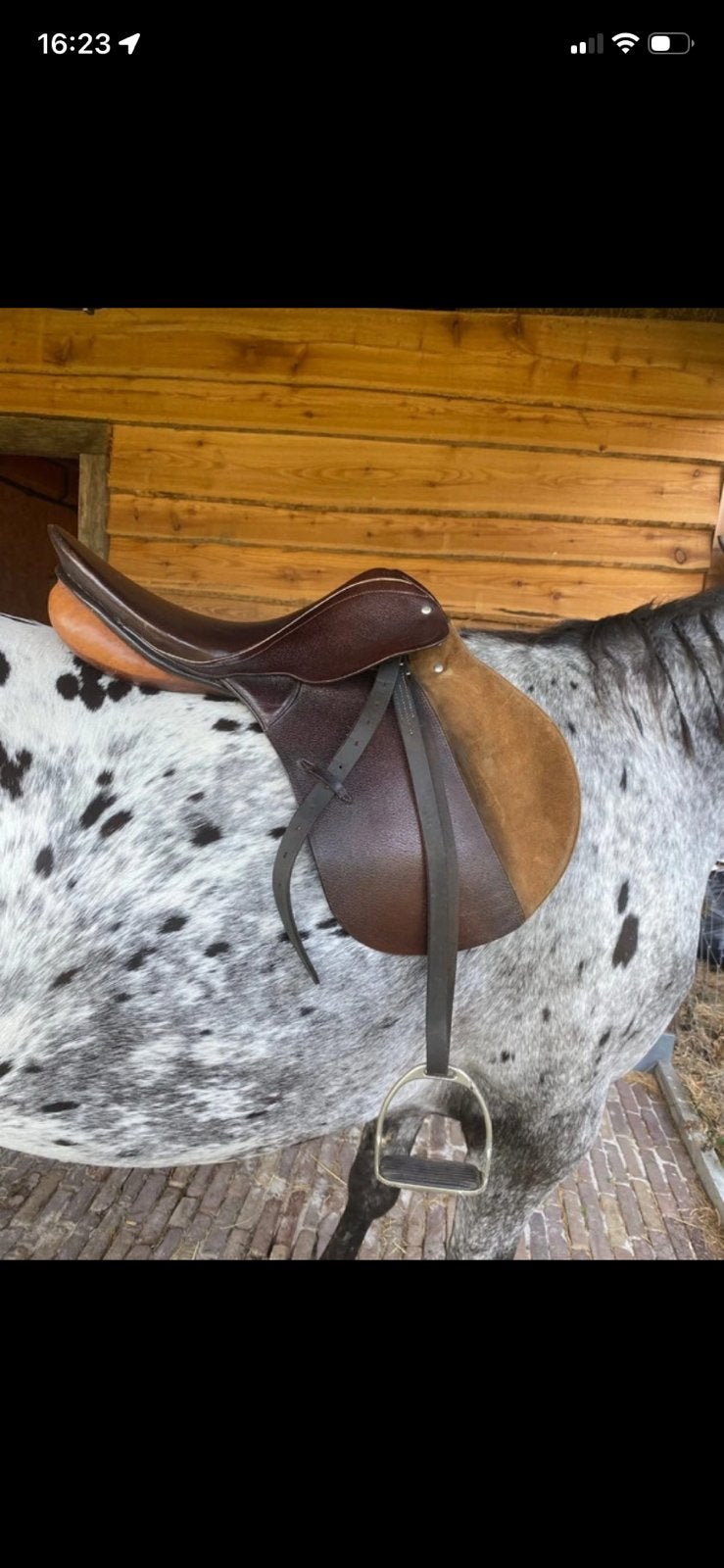 Springzadel te koop, Dieren en Toebehoren, Ophalen, Zo goed als nieuw, Springen, Stübben