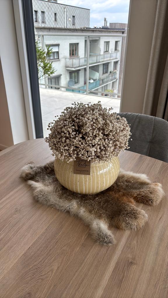 Potje met gypsophyla( gips), Huis en Inrichting, Woonaccessoires | Kransen, Ophalen, Zo goed als nieuw