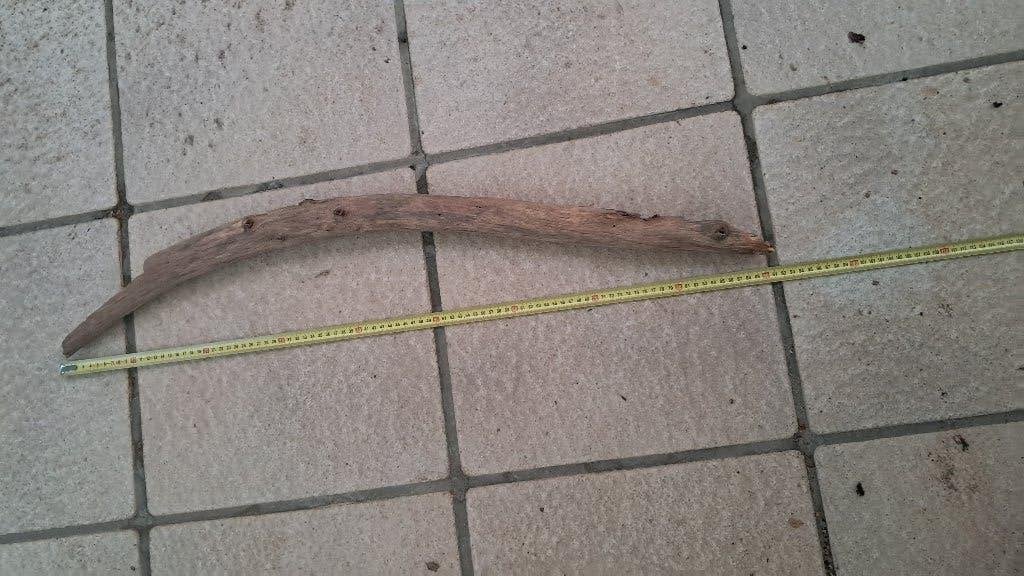 XXL Eikentak 90cm – Premium Hout voor Aquarium & Terrarium, Ophalen, Nieuw, Tak, Plant, Rots of Steen