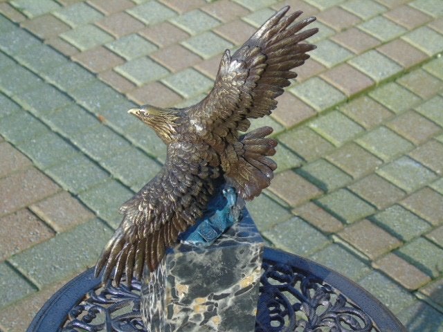Adelaar tijdens de vlucht in bronskleuren gesigneerd, MILO, Ophalen of Verzenden, Brons