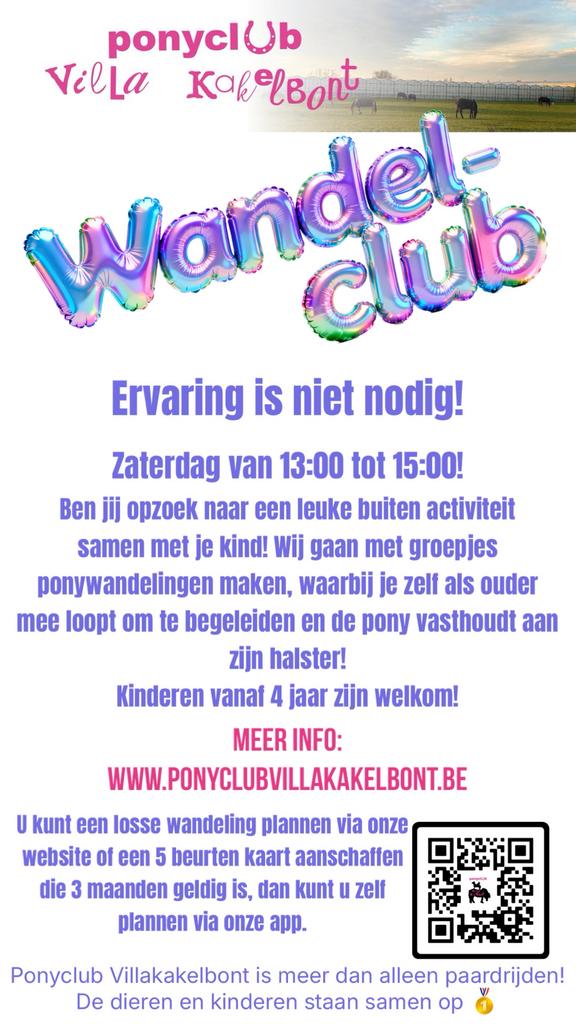 Ponyclub, halve stal, verzorgpony, ponykamp, ponywandeling