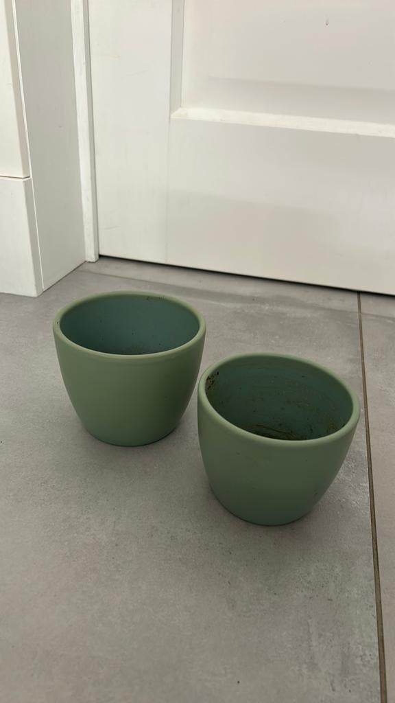 Kleine bloempotjes, Huis en Inrichting, Kamerplanten, Ophalen
