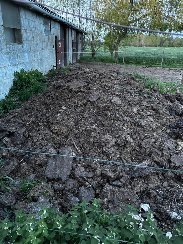 Gratis zuivere paardenmest, Enlèvement, Fumier