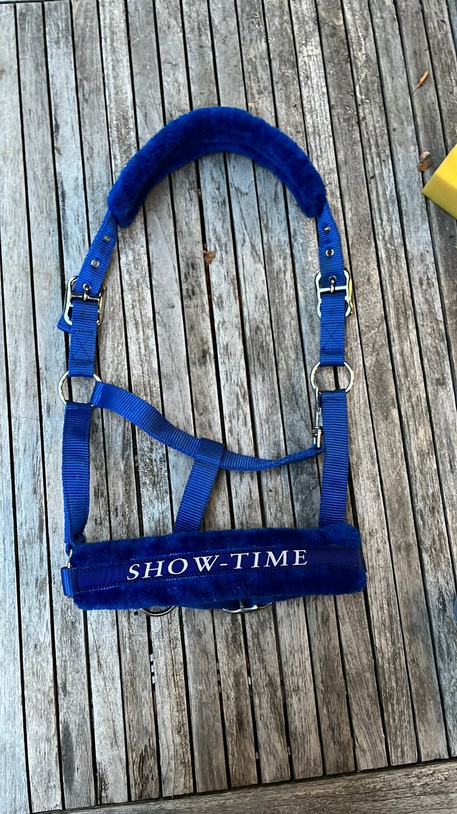 Blauw halster, Dieren en Toebehoren, Overige disciplines, Ophalen of Verzenden, Zo goed als nieuw, Blauw