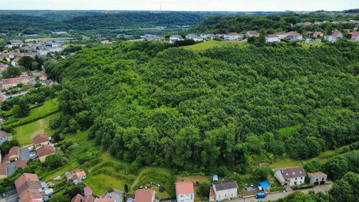 Mont St Martin (54) les 3 frontières parcelle de 11ha bois