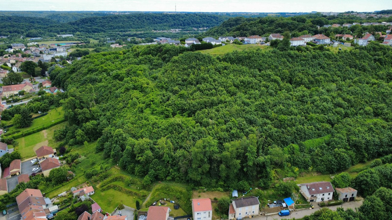 Mont St Martin (54) les 3 frontières parcelle de 11ha bois, France, Verkoop zonder makelaar, 1500 m² of meer