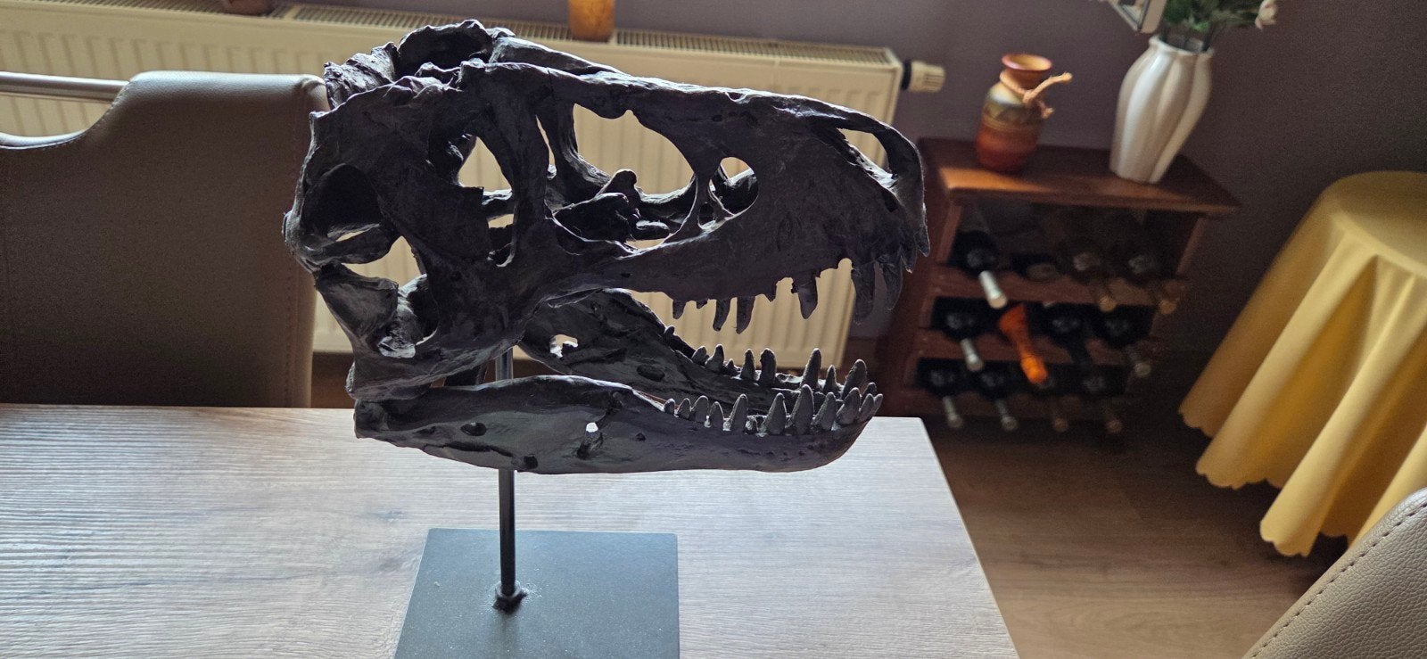 T Rex hoofd skelet, Ophalen, Op sokkel
