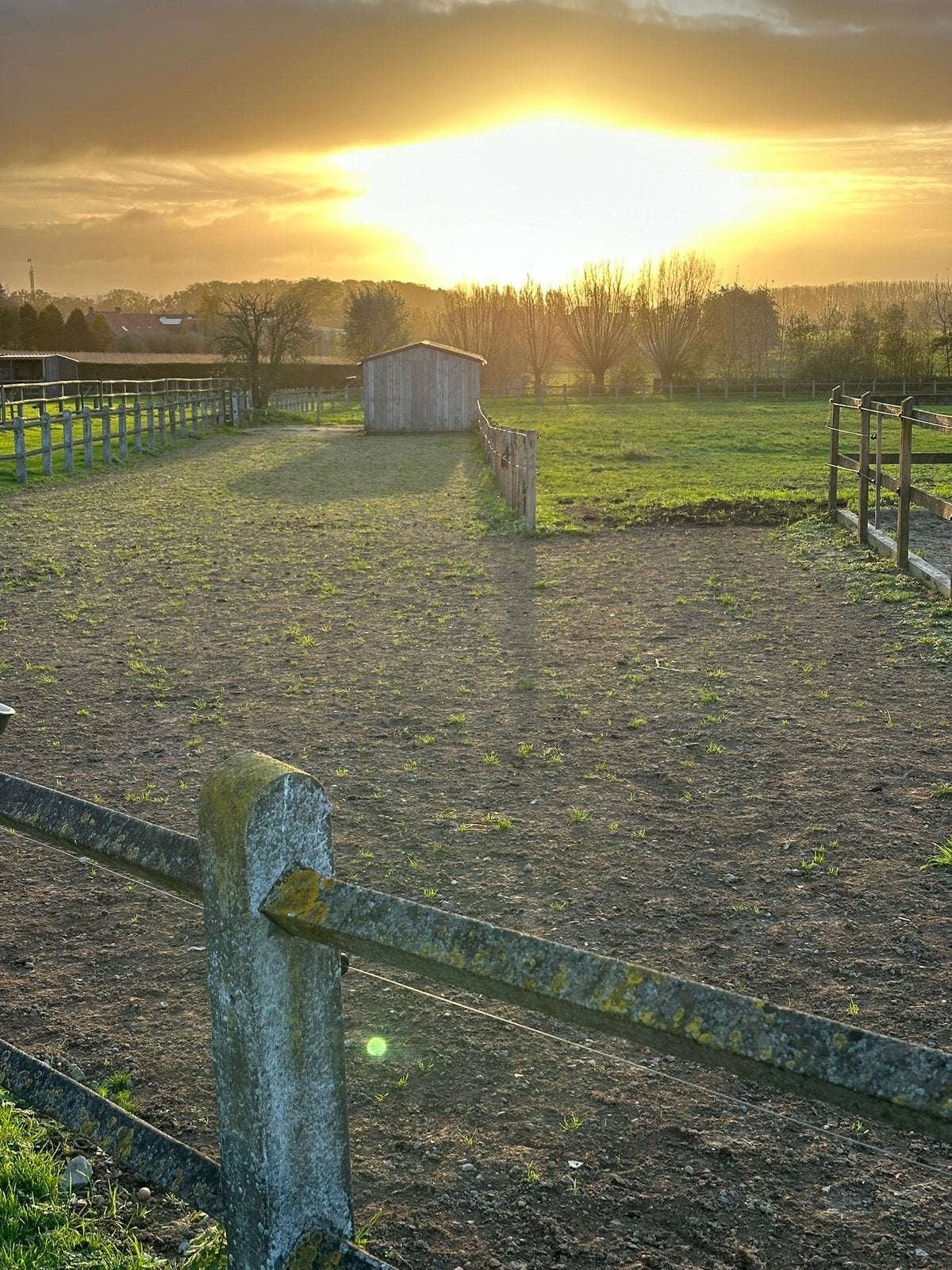 Paarden weidegang met loopstal, Stalling, 2 of 3 paarden of pony's