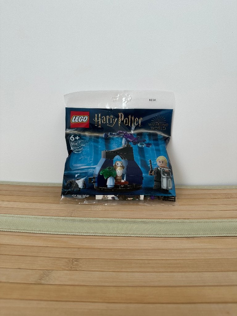 30677 Draco in the Forbidden Forest, Neuf, Enlèvement ou Envoi, Lego, Ensemble complet
