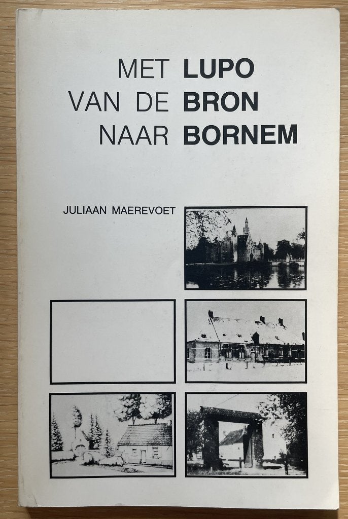 Geschiedenis van Bornem deel 2, Boeken, Ophalen of Verzenden