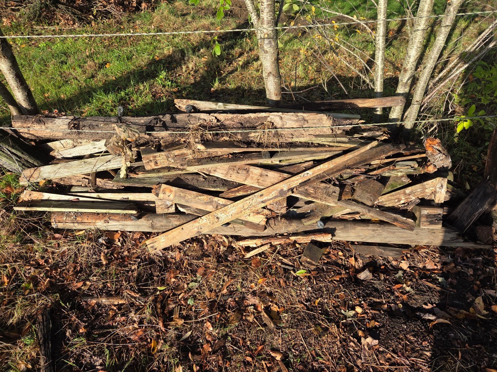 gratis brandhout, Tuin en Terras, Ophalen