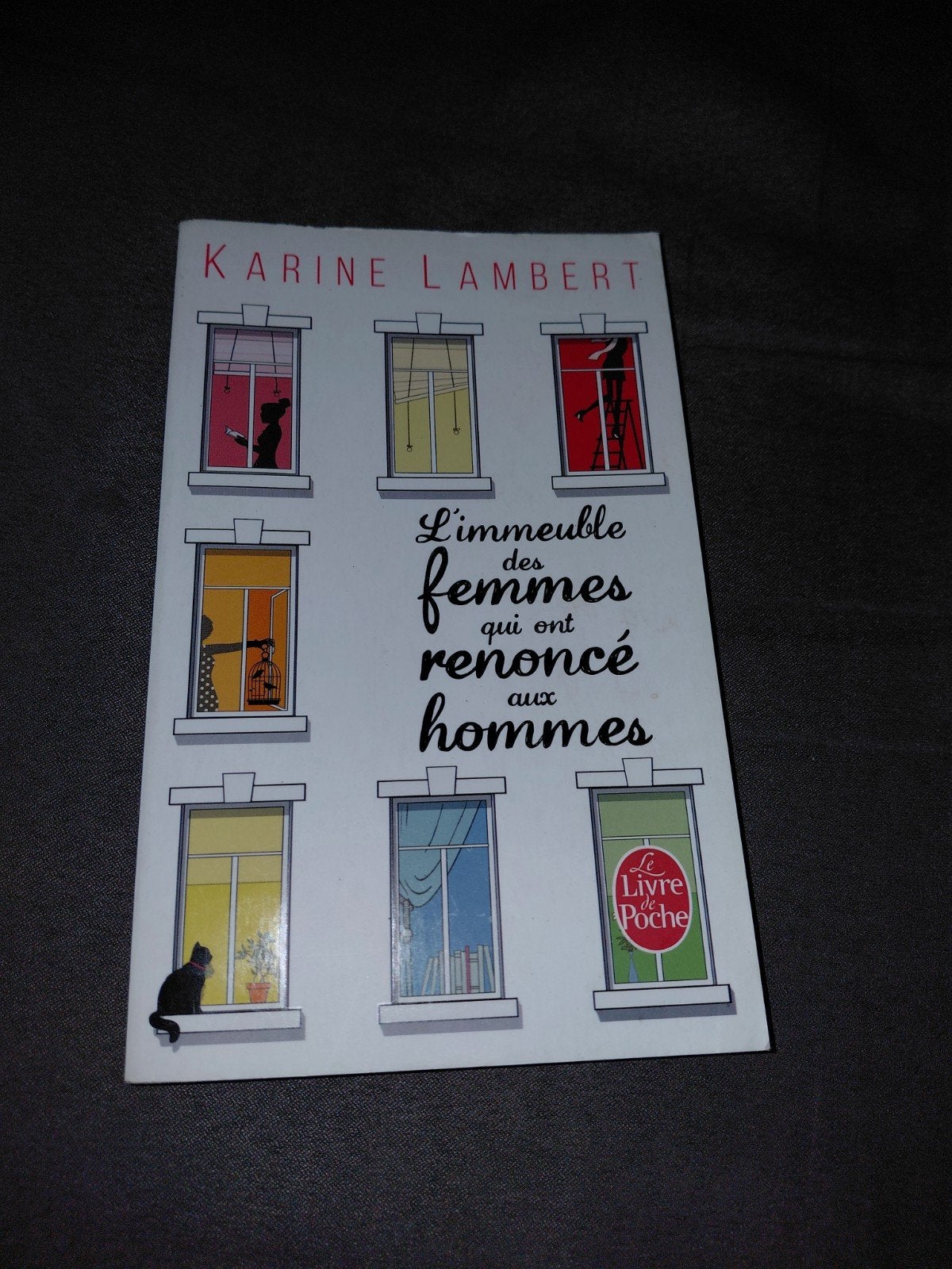 livre l'immeuble des femmes qui ont renoncé aux hommes, Boeken, Romans, Ophalen
