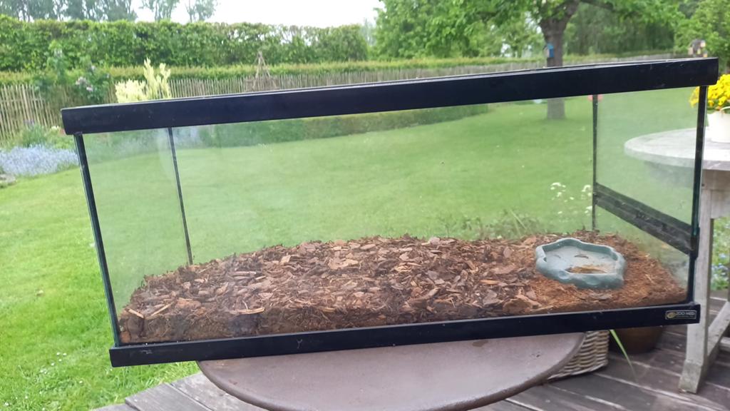 Terrarium, Ophalen, Zo goed als nieuw, Terrarium of Paludarium