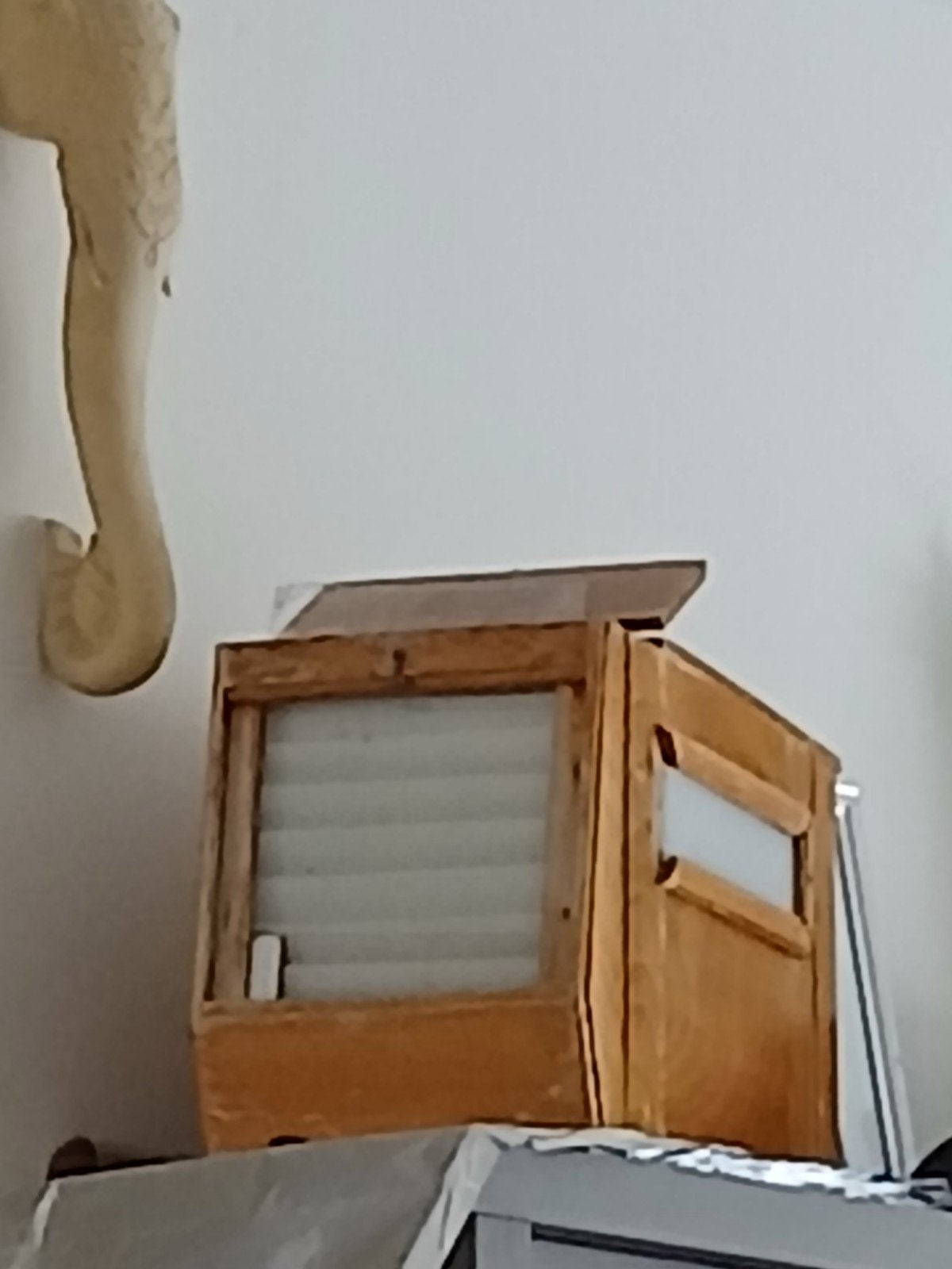 botvink van 23 zuivere ruske wie, Animaux & Accessoires, Enlèvement
