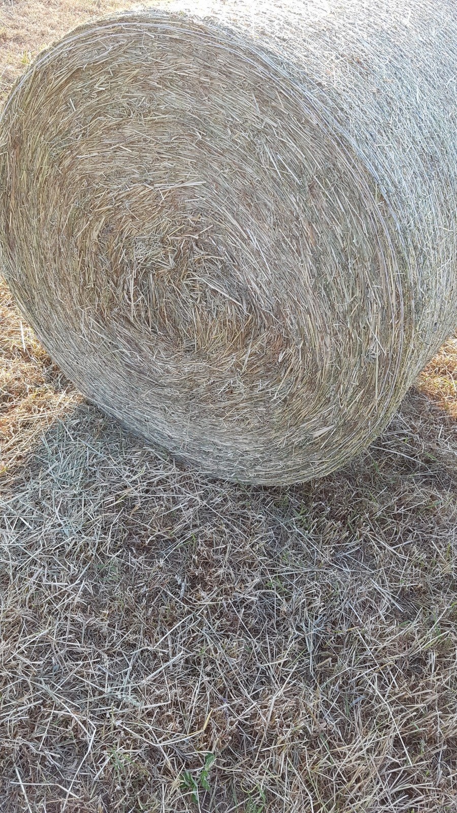 Hooi in ronde balen., Enlèvement