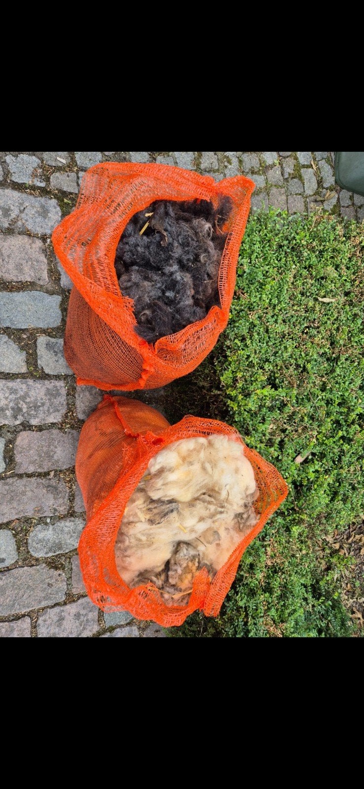 Gratis schapenwol - Blanden, Tuin en Terras, Brandhout, Ophalen