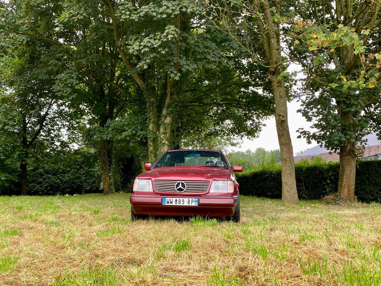 Mercedes 230 CE, Particulier, Automatique, Achat