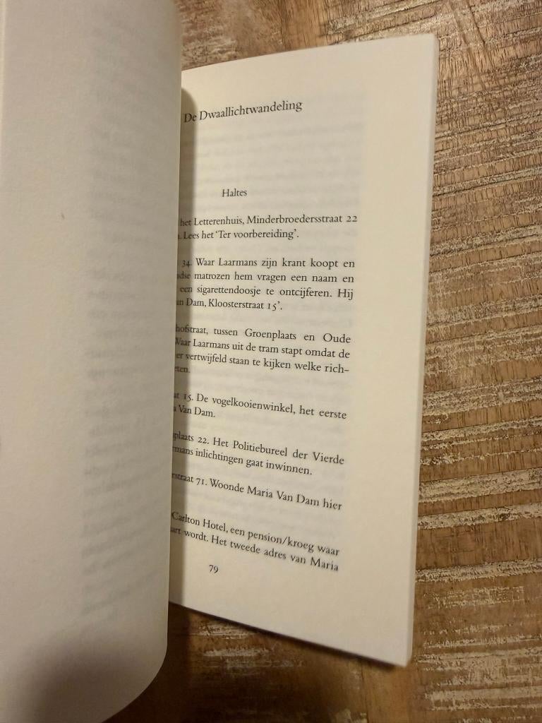 Het dwaallicht - Willem Elsschot (Met stadswandeling ), Boeken, België, Ophalen of Verzenden, Zo goed als nieuw, Willem Elsschot