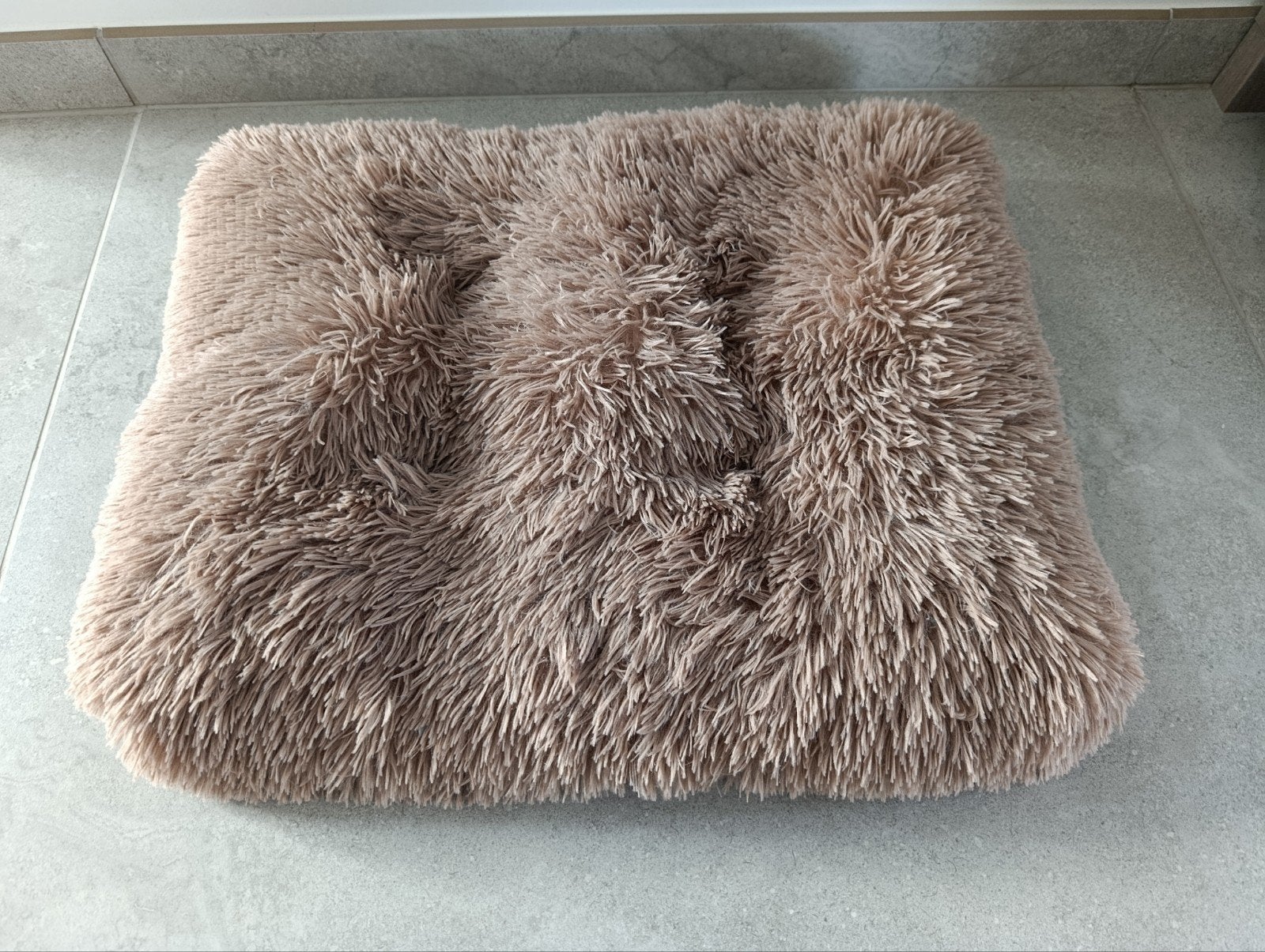 coussin pour petit chien/chat, 60x50 cm, Neuf, Autres types