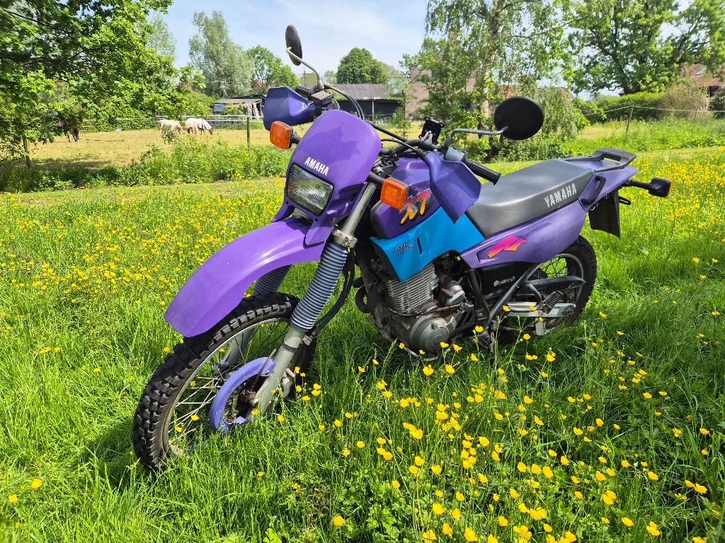 Yamaha XT600E, Motoren, Motoren | Yamaha, Particulier, Enduro, Handgeschakeld, 12 t/m 35 kW