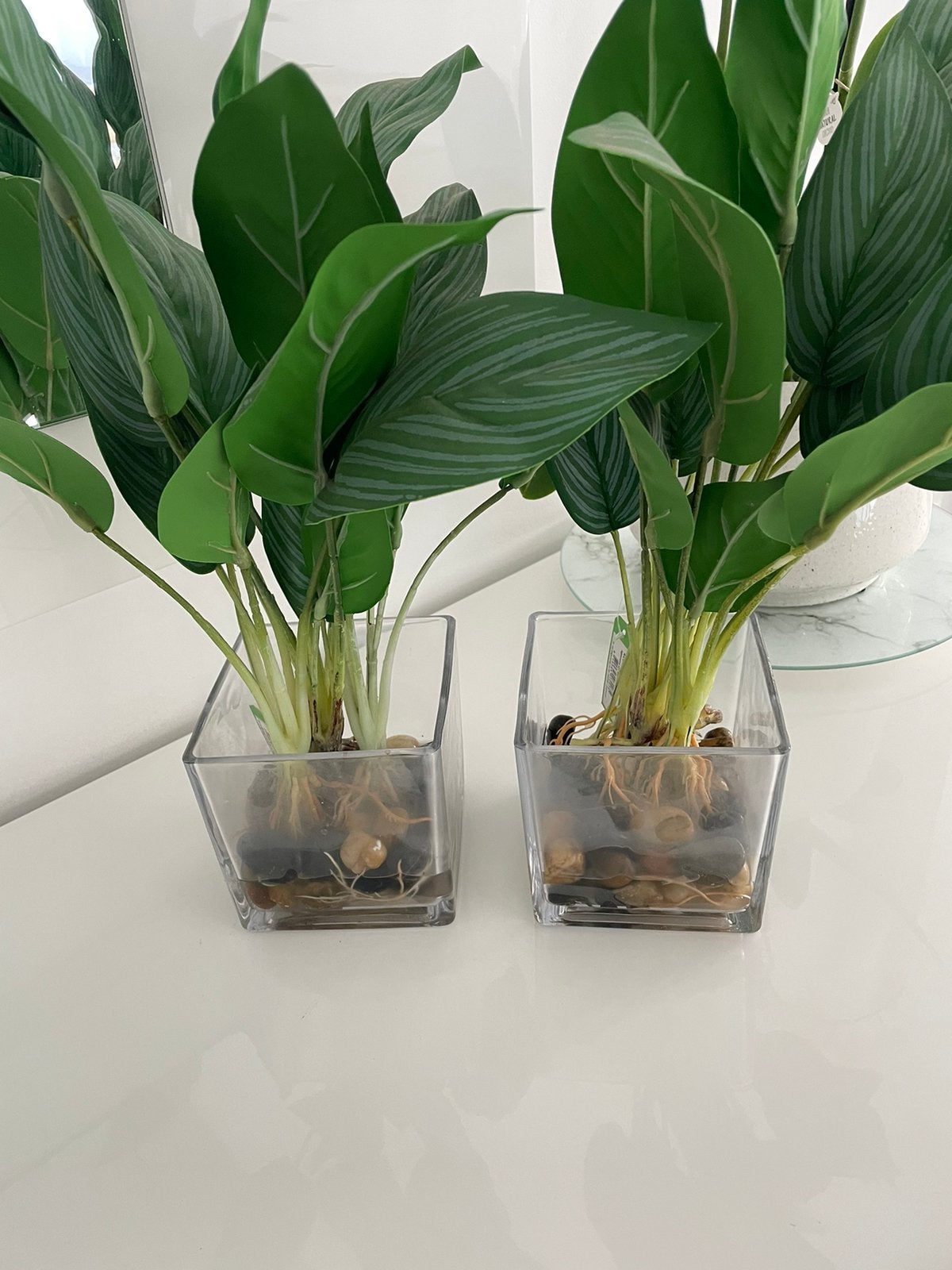 Kunstplanten in vaas, Ophalen