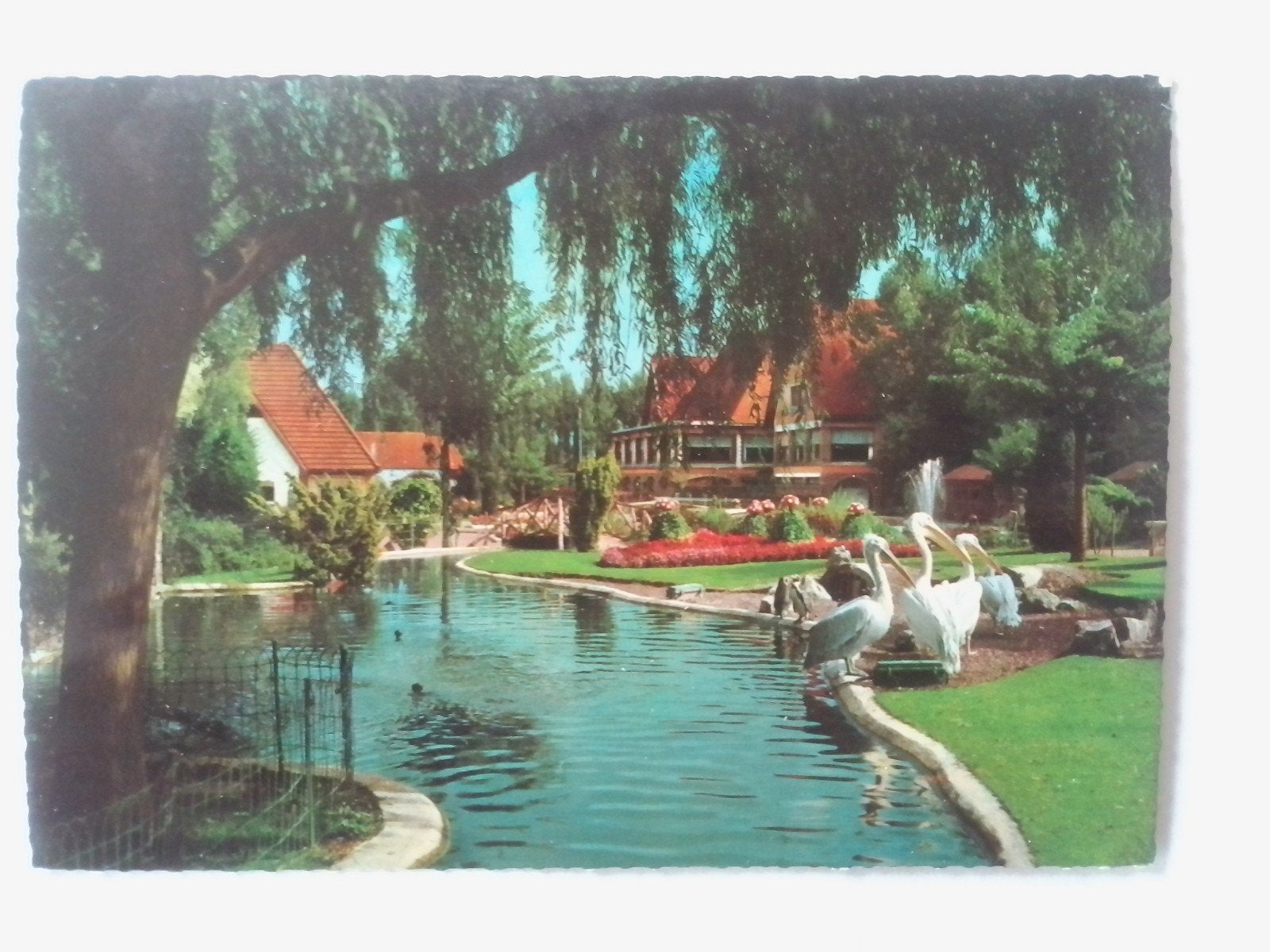 MELI PARK ADINKERKE KA  PANNE RESIDENCE DES  PELICANS, Enlèvement ou Envoi, 1960 à 1980, Non affranchie, Flandre Occidentale