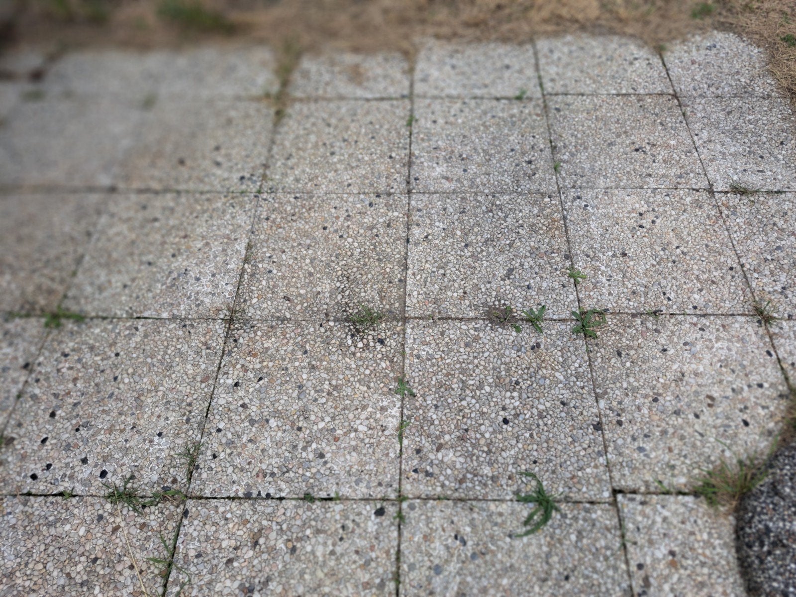 Silexdal grindtegels, Tuin en Terras, Ophalen, Beton