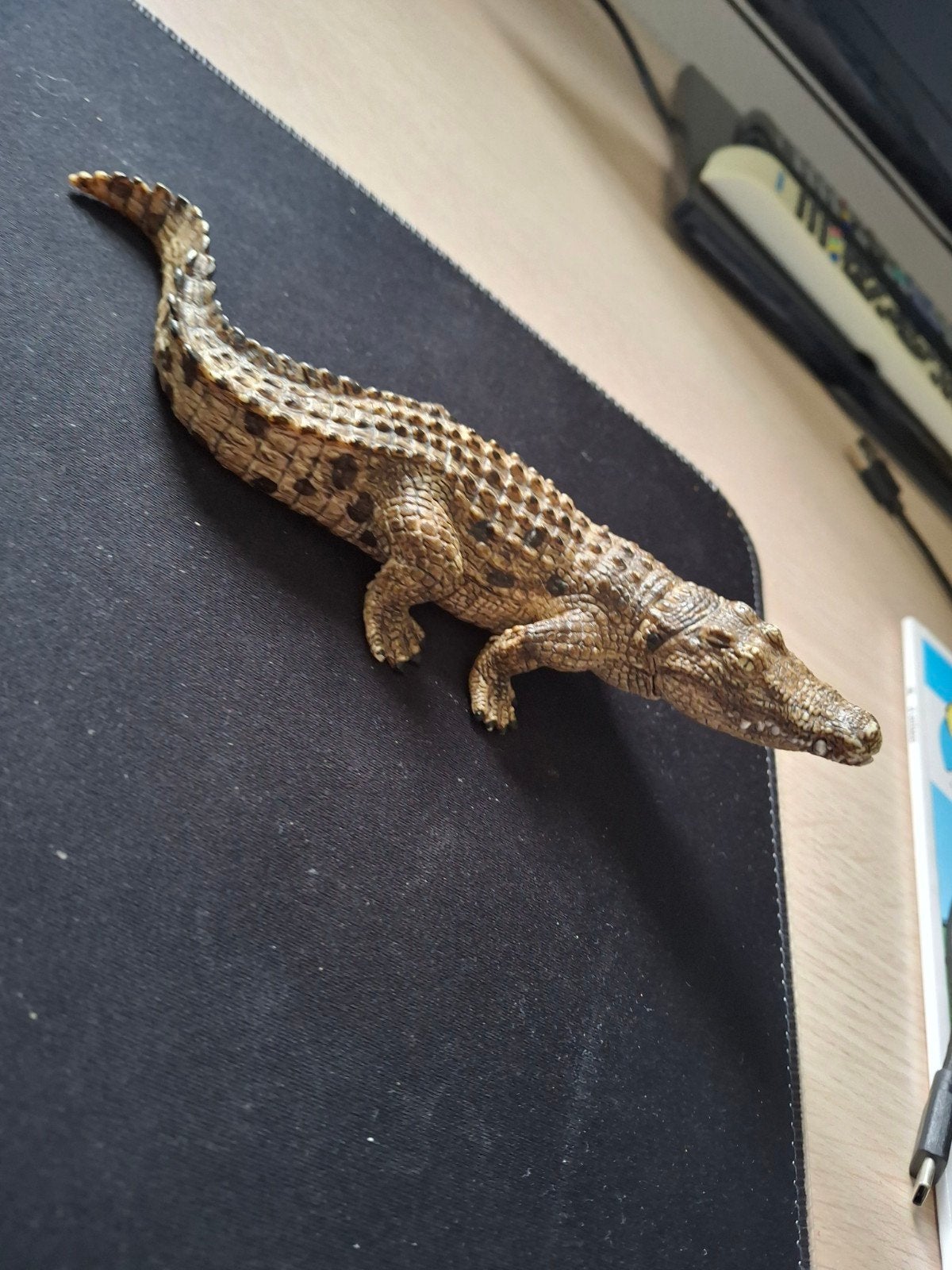 Krokodil speelgoed, Ophalen, Nieuw