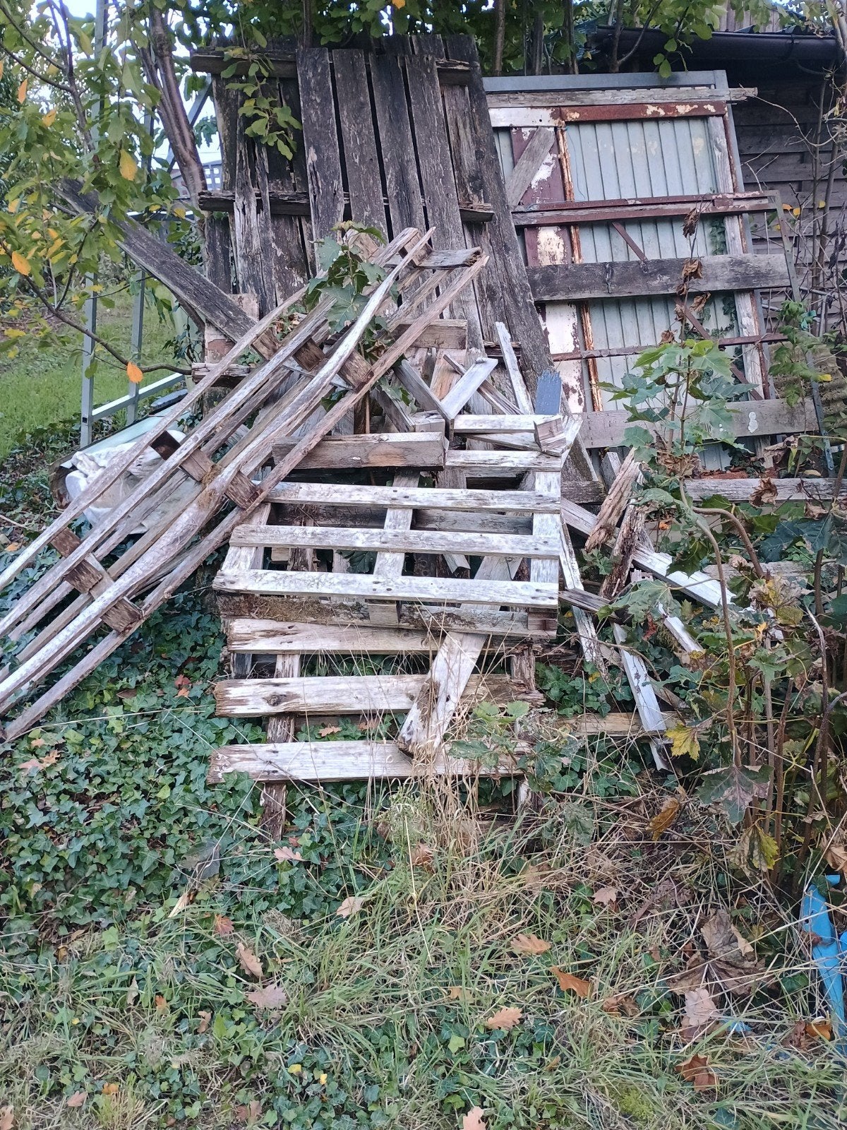 gratis brandhout te Kortrijk niet chatten belnk, Moins de 3 m³, Enlèvement, Autres essences de bois, Bûches