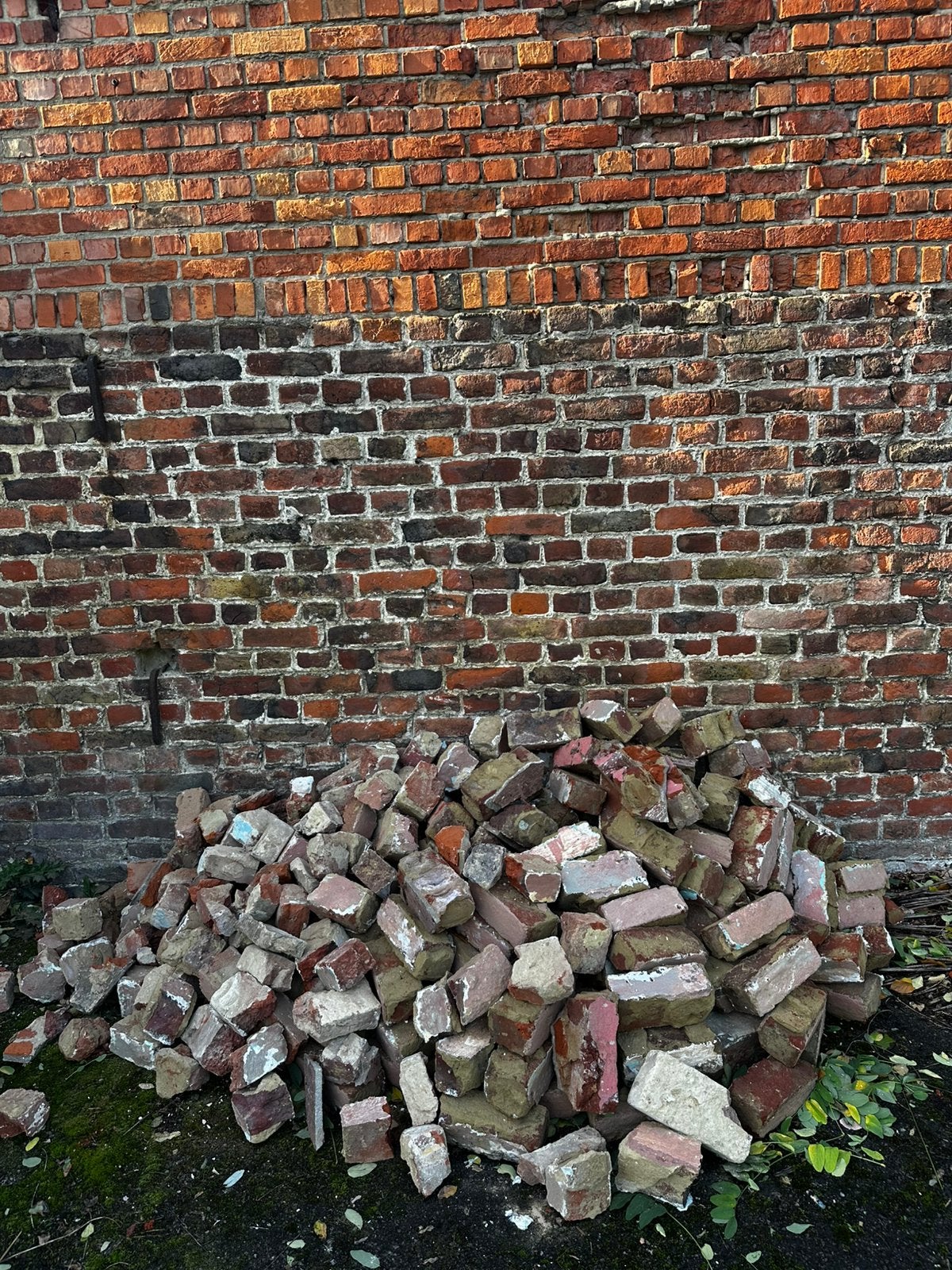 Gratis bakstenen in gebruikte staat, Jardin & Terrasse, Enlèvement, Comme neuf