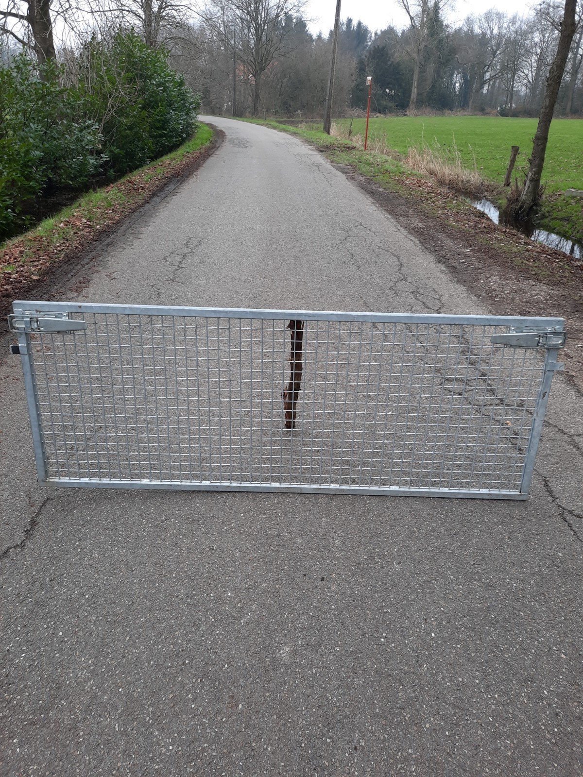 Achterklep hapert, Ophalen