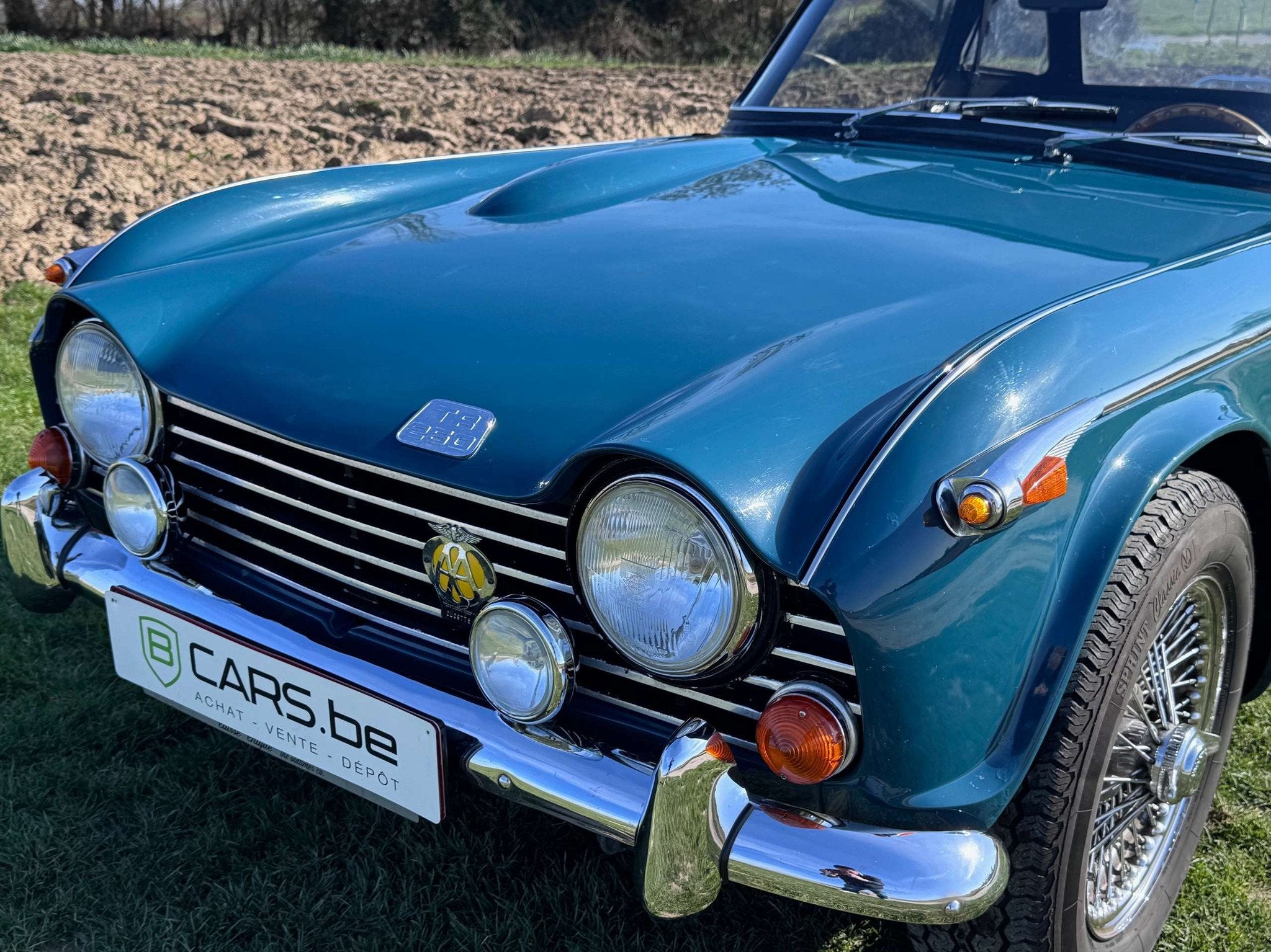 Triumph TR5 (bj 1968), foto 11