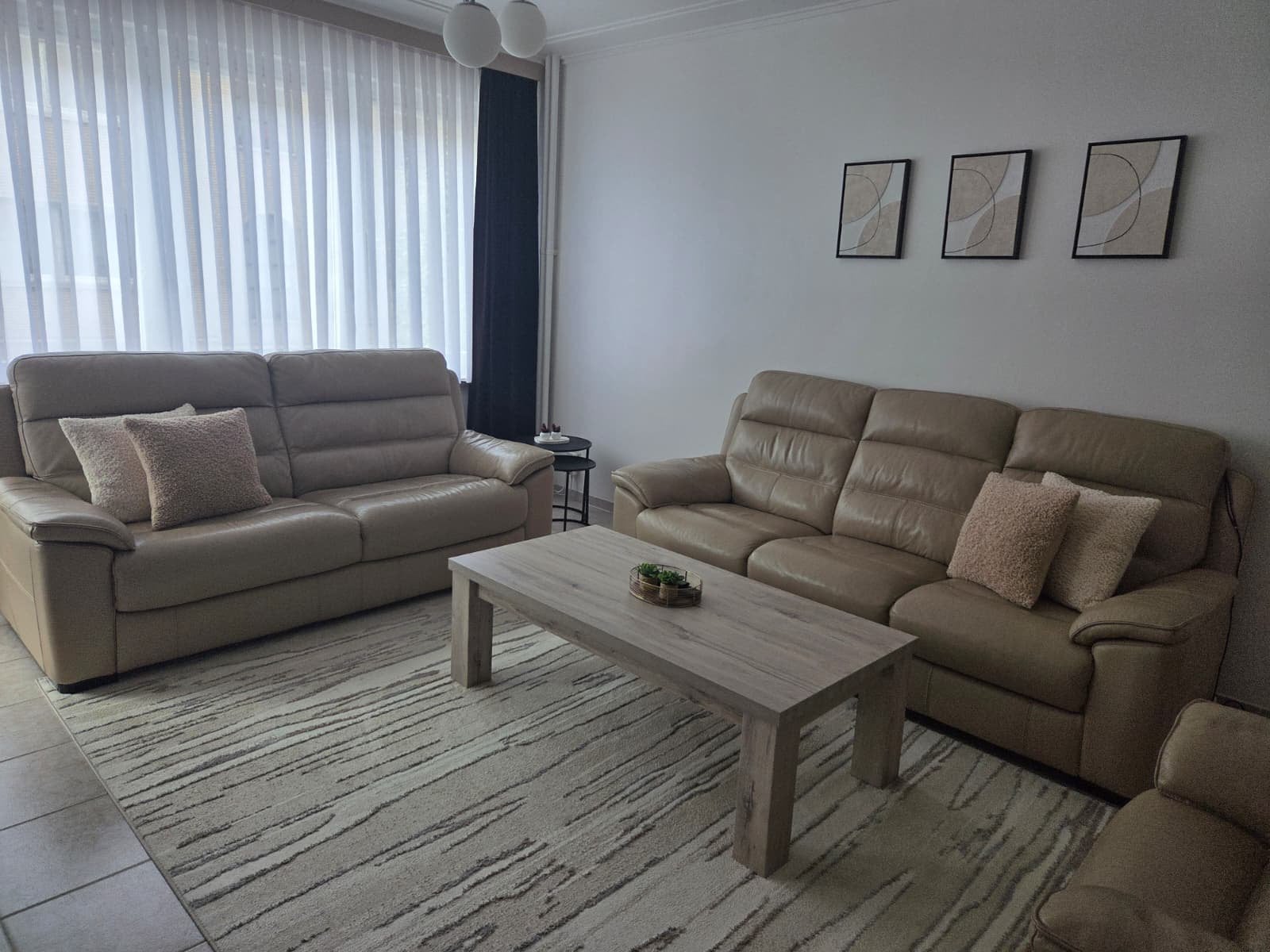 Salon en cuir, 200 à 250 cm, Banc droit, Enlèvement, Utilisé