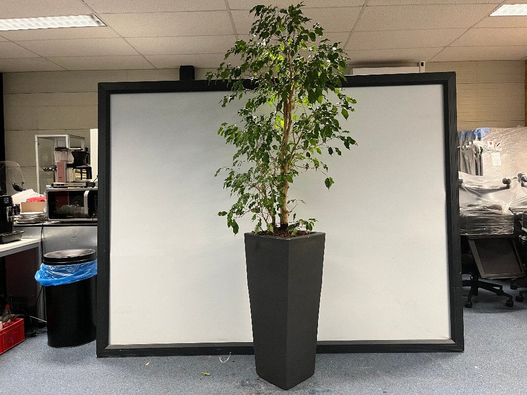 Zwarte Plantenbak (225 cm), Tuin en Terras, Ophalen of Verzenden