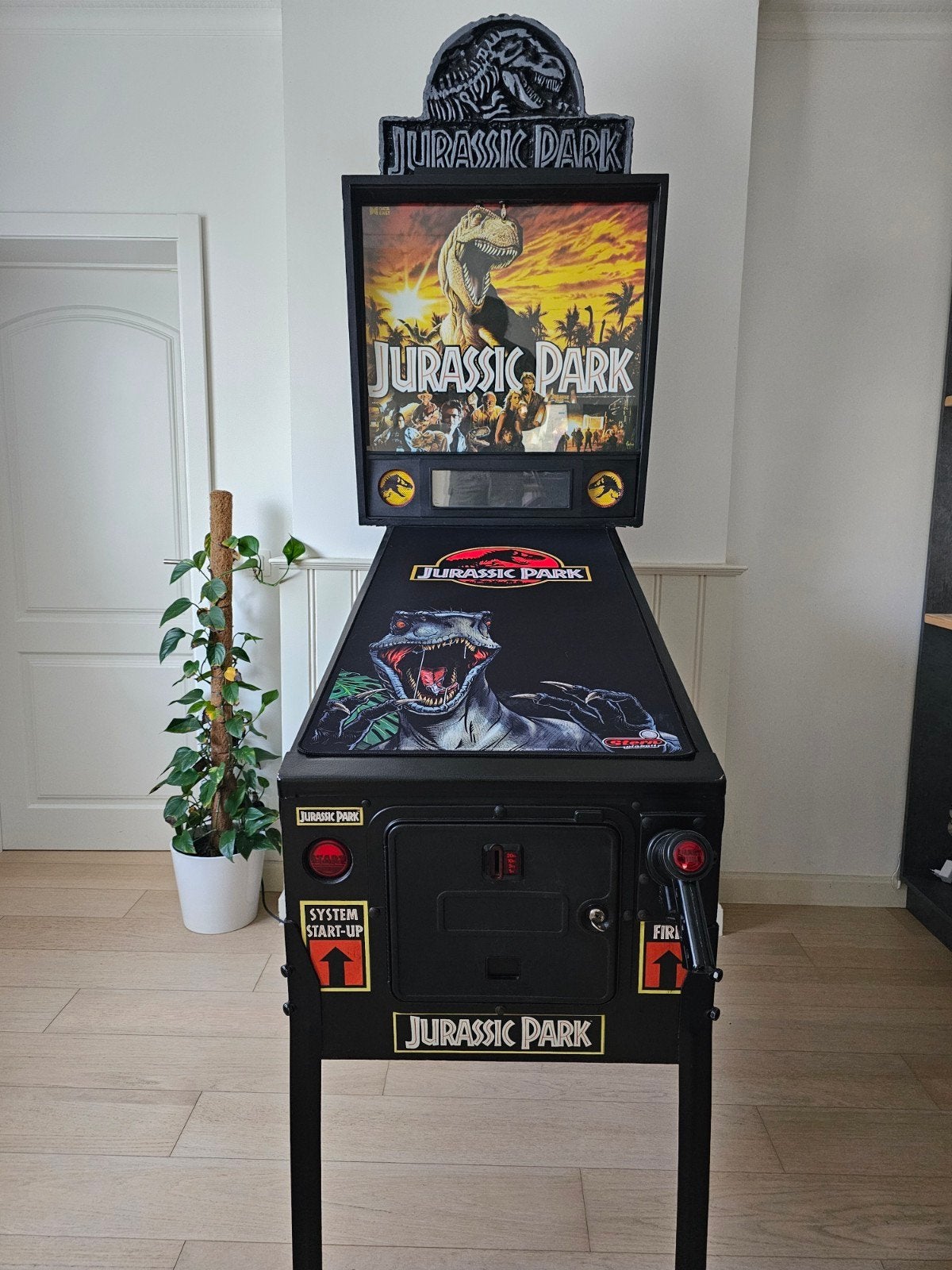 Jurassic Park Pinball Data East 1993, Collections, Enlèvement