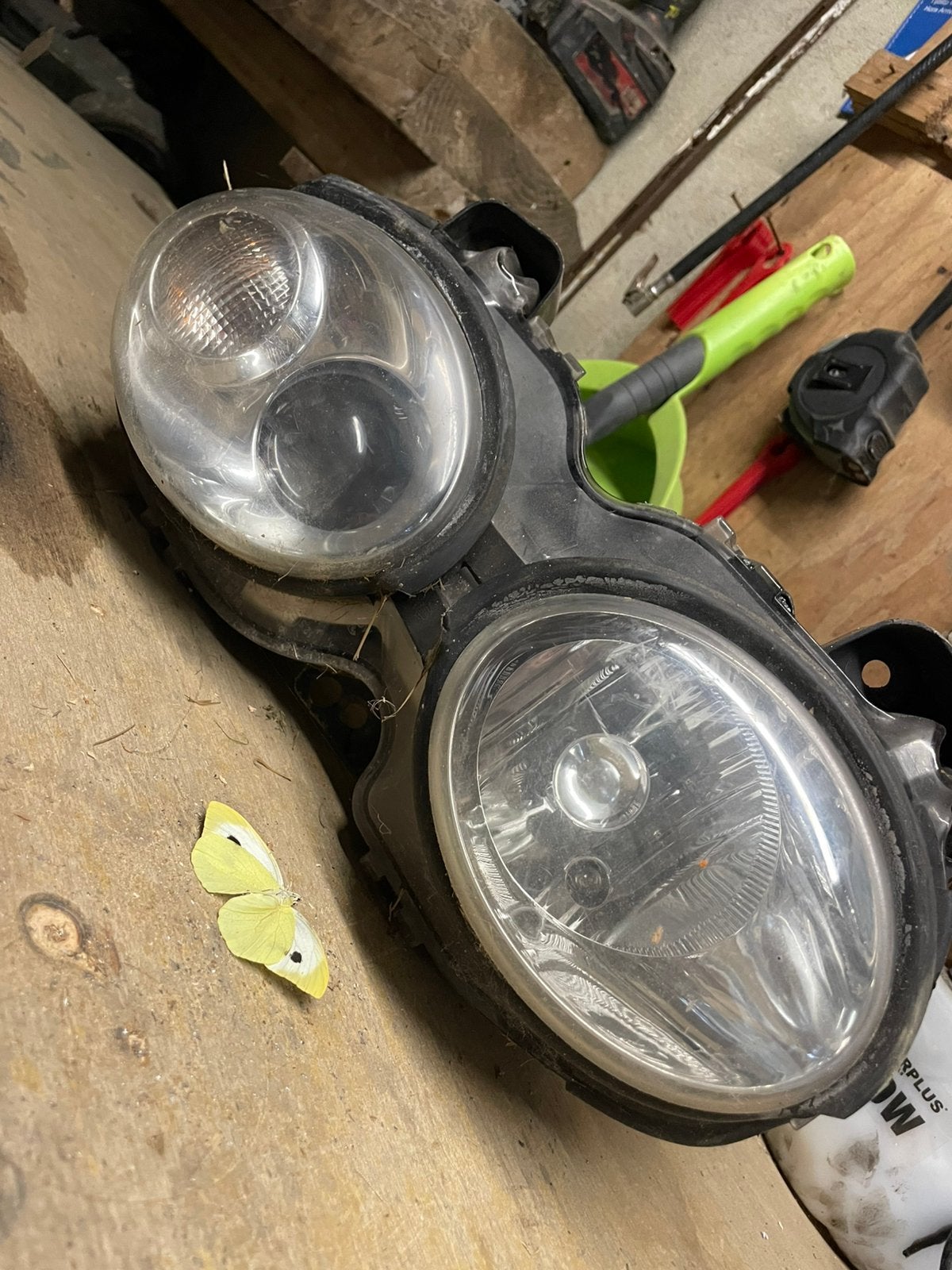 Jaguar X type Xenon lamp. 2006 model (past ook op andere), Ophalen of Verzenden, Jaguar