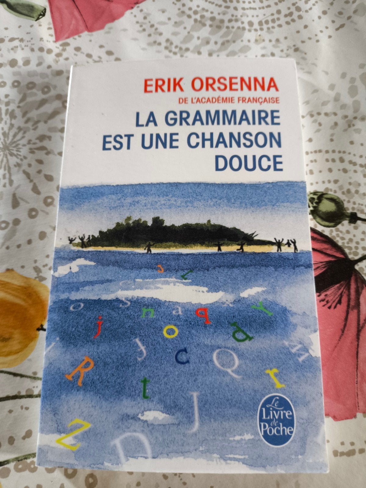 La Grammaire est une chanson douce, Livres, Enlèvement ou Envoi, Comme neuf, Erik Orsenna