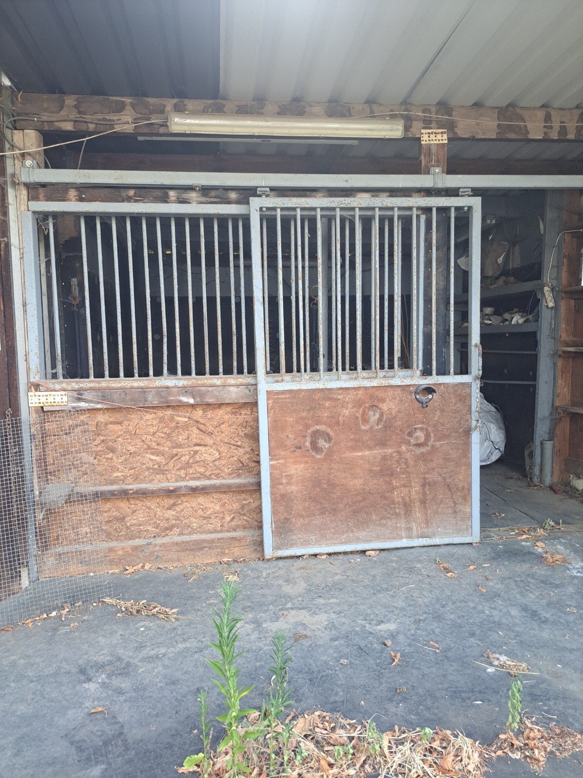face avant de box, Mise à l'étable, 1 cheval ou poney