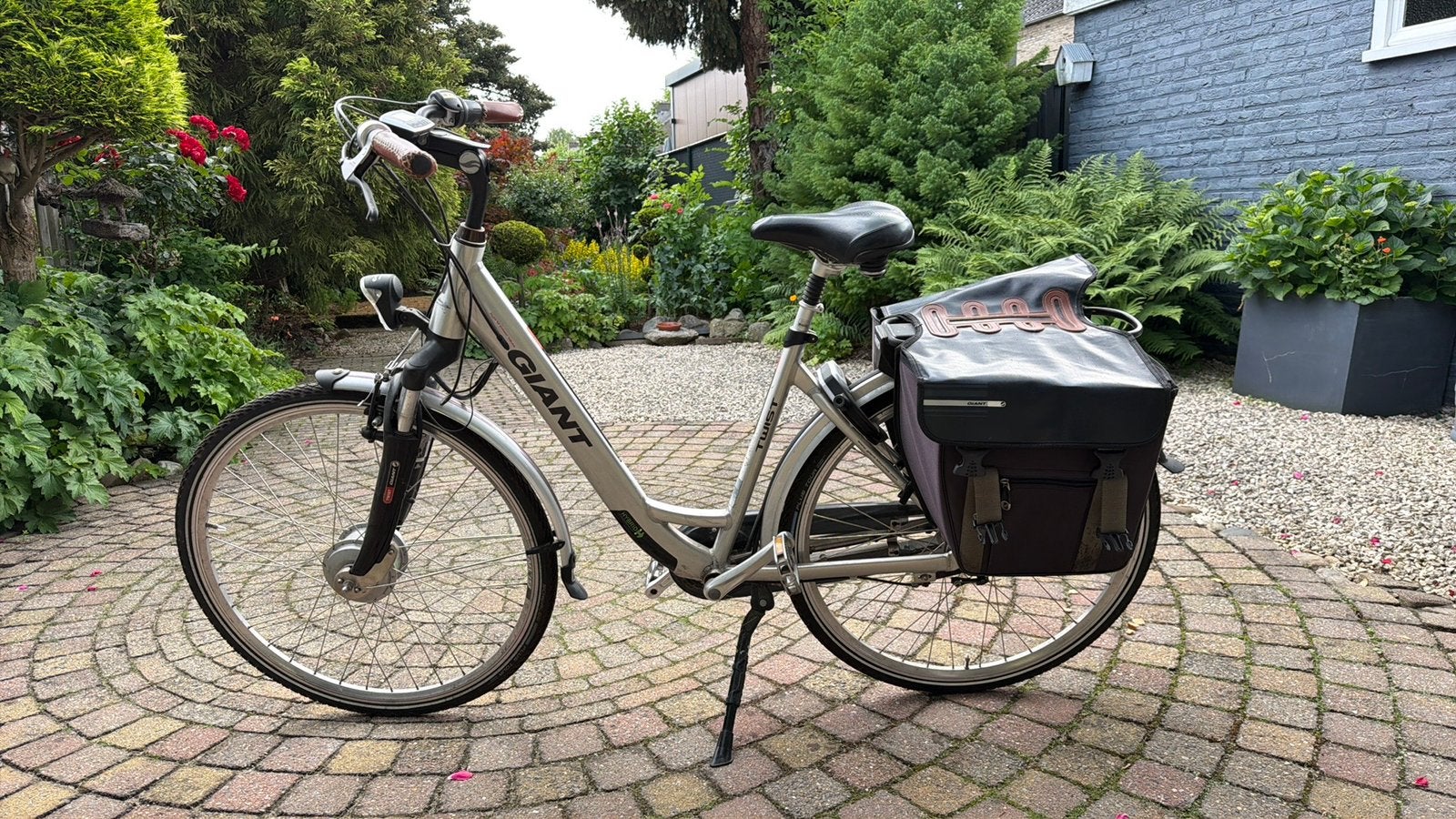 Giant twist electische fiets, Ophalen, Gebruikt, Giant