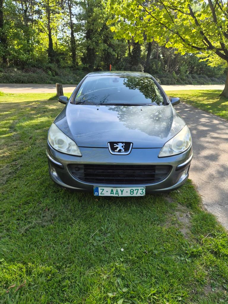 Peugeot 407 2.0 Benzine, Auto's, Peugeot, Bedrijf, Handgeschakeld, Euro 4, 5 deurs